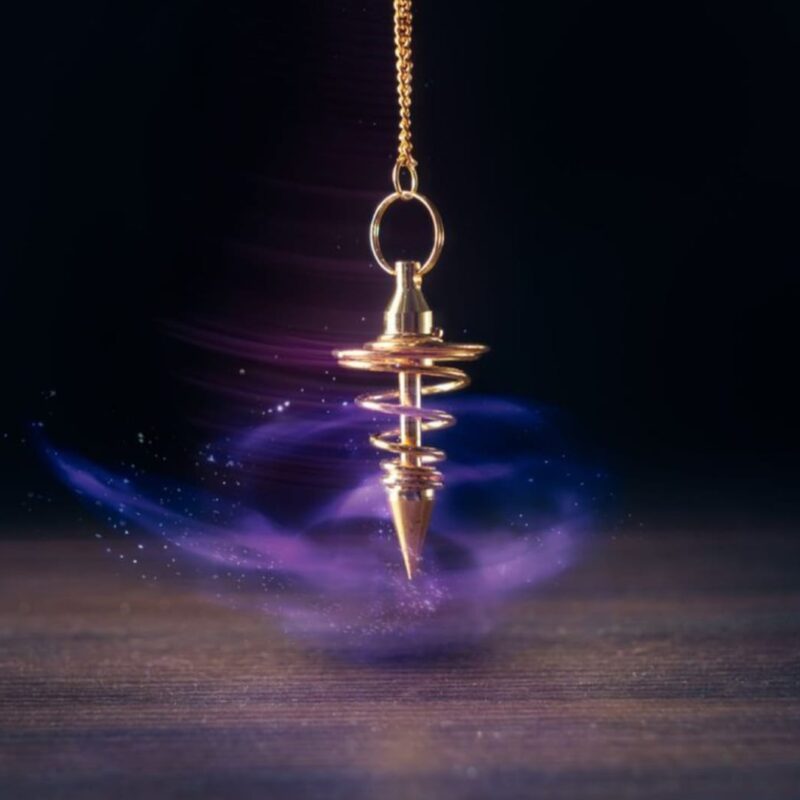 SARKAÇ SEANSI  (2000 TL)